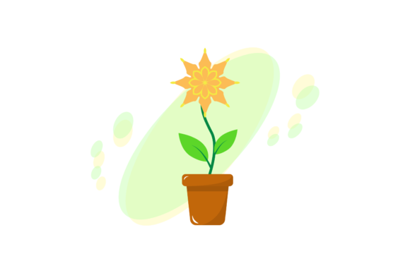 Flowers Petal Colorful Illustrations for Modern Graphics